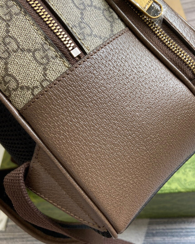 Gucci Ophidia Backpack 779901