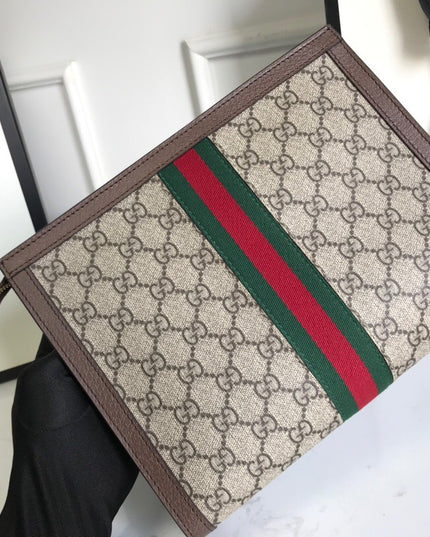 Gucci Ophidia Pouch 625549