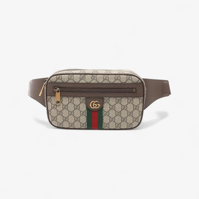 Gucci Ophidia Belt Bag 574796