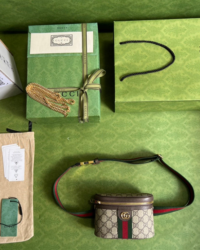 Gucci Ophidia GG Beauty Belt Bag – Top Zip & Chain Strap