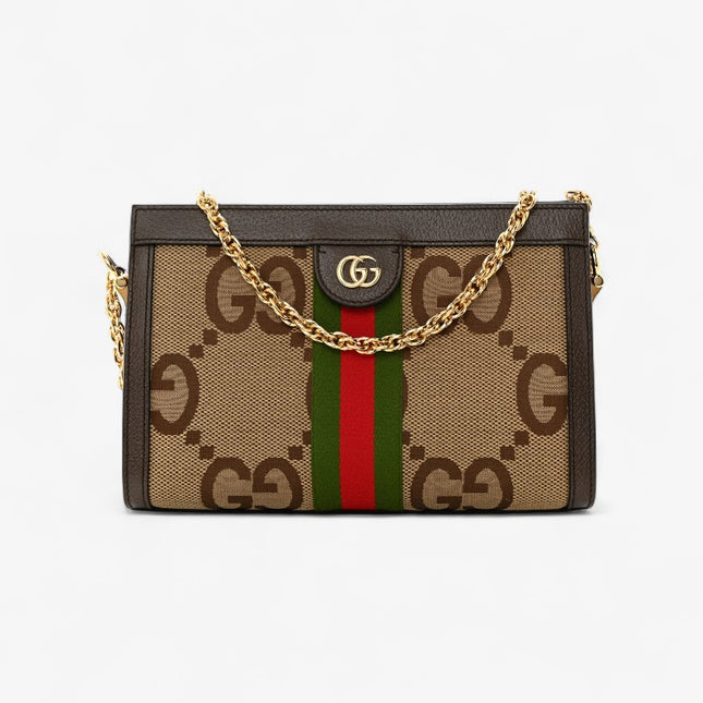 Gucci Ophidia Gg Small Shoulder Bag 503877